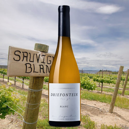 南非 Driefontein Sauvignon Blanc 2023